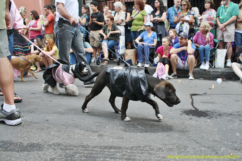 Mystic-Krewe-of-Barkus-JR-2011-0149