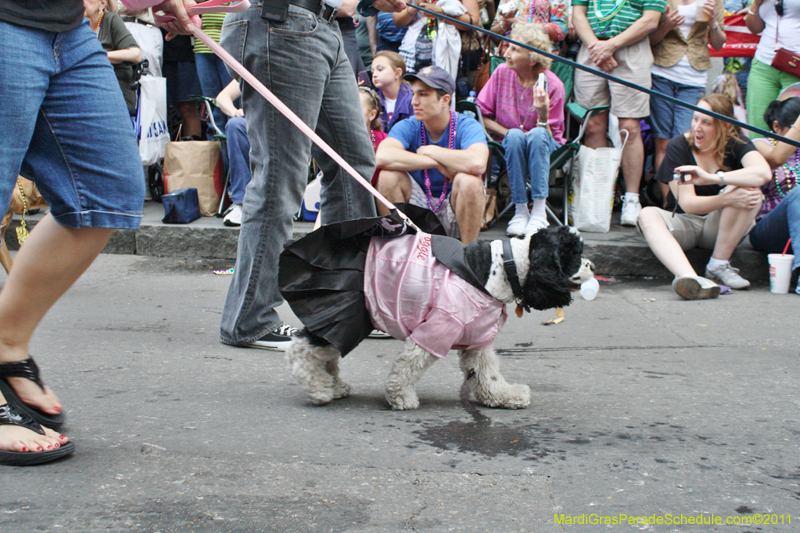 Mystic-Krewe-of-Barkus-JR-2011-0150