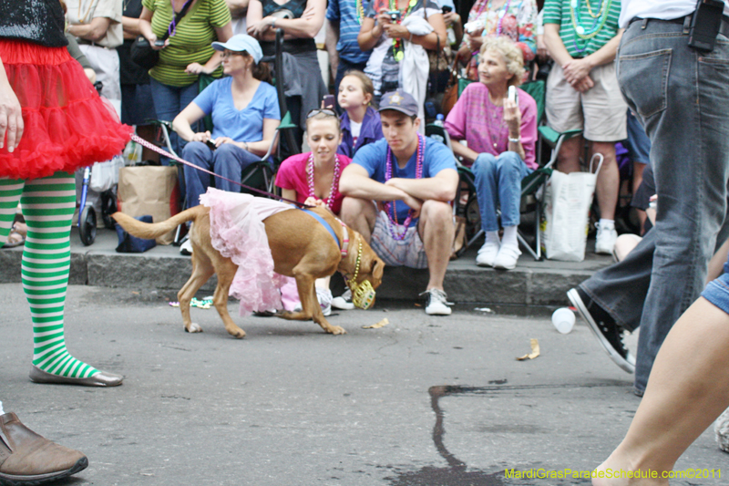 Mystic-Krewe-of-Barkus-JR-2011-0151