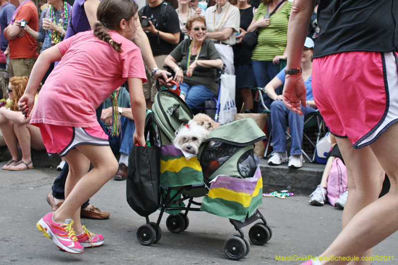 Mystic-Krewe-of-Barkus-JR-2011-0156