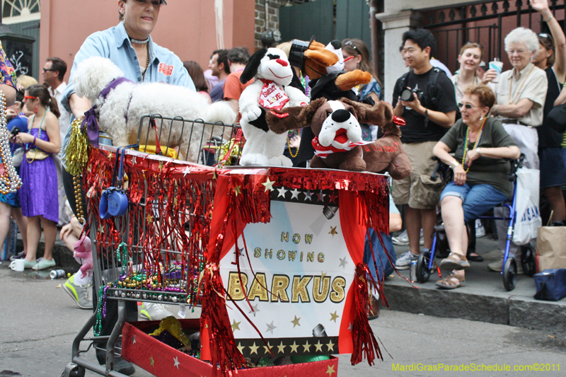 Mystic-Krewe-of-Barkus-JR-2011-0157