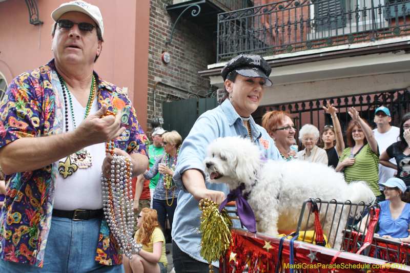 Mystic-Krewe-of-Barkus-JR-2011-0158