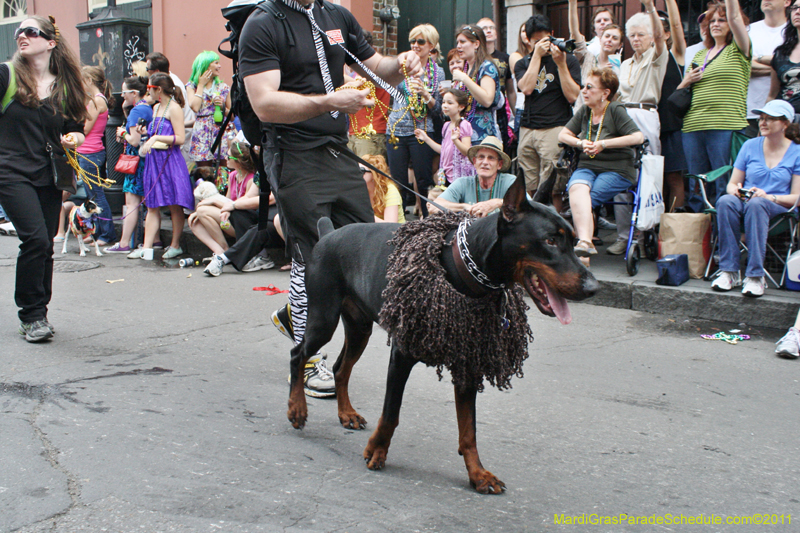 Mystic-Krewe-of-Barkus-JR-2011-0163