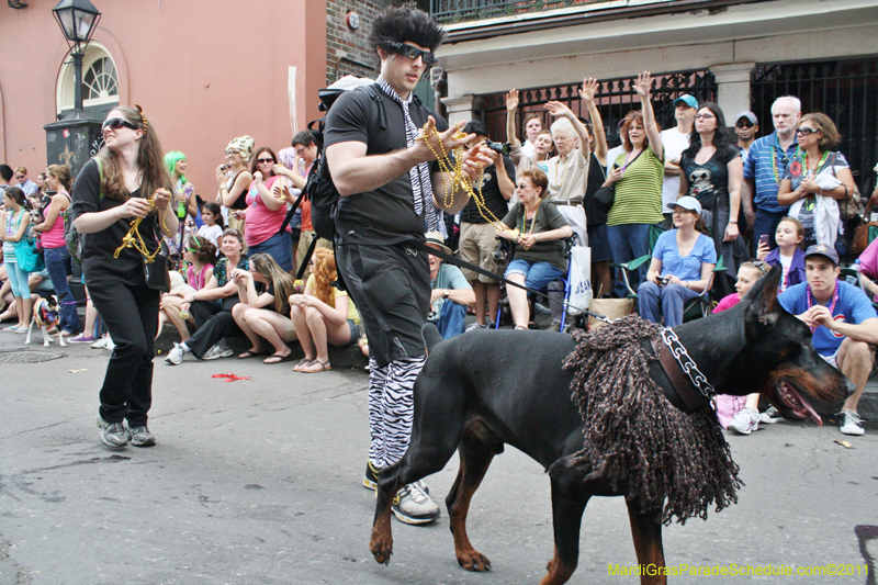 Mystic-Krewe-of-Barkus-JR-2011-0164