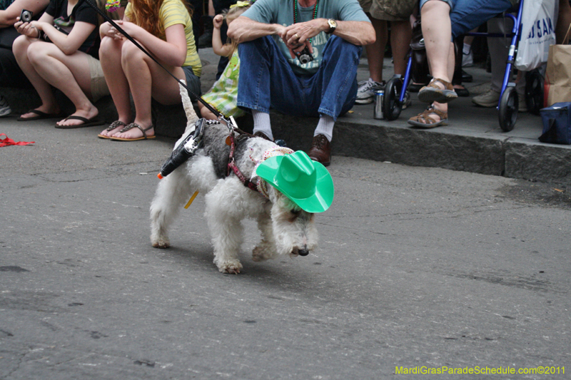 Mystic-Krewe-of-Barkus-JR-2011-0166