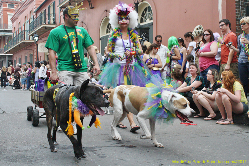 Mystic-Krewe-of-Barkus-JR-2011-0167