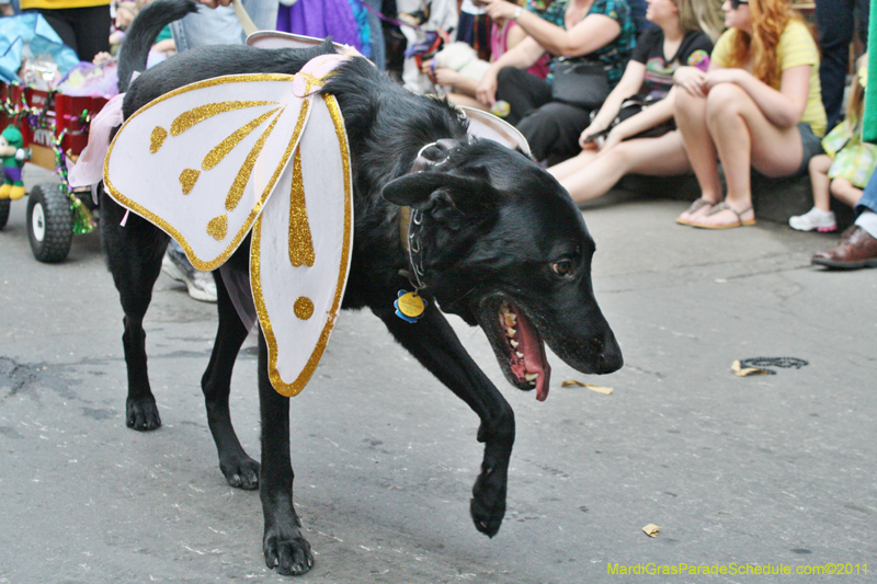 Mystic-Krewe-of-Barkus-JR-2011-0190