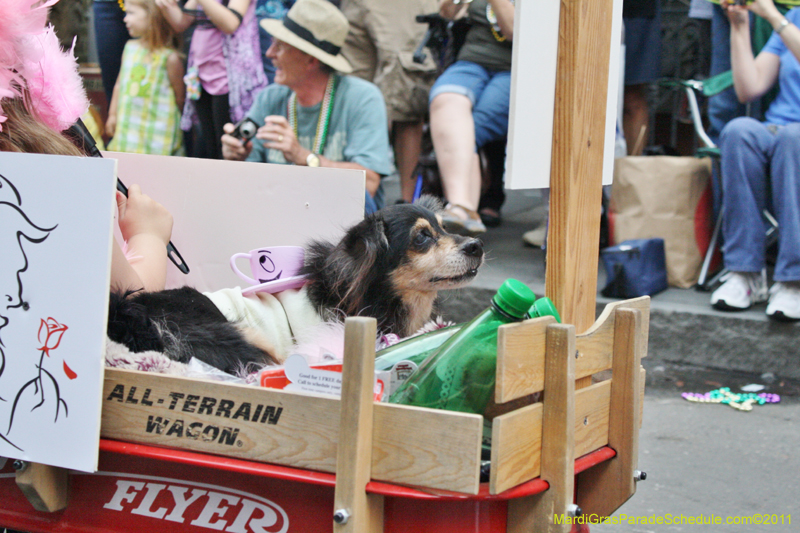 Mystic-Krewe-of-Barkus-JR-2011-0197