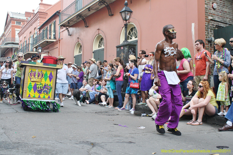 Mystic-Krewe-of-Barkus-JR-2011-0201