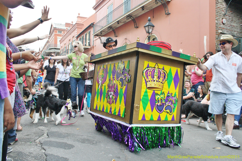 Mystic-Krewe-of-Barkus-JR-2011-0202