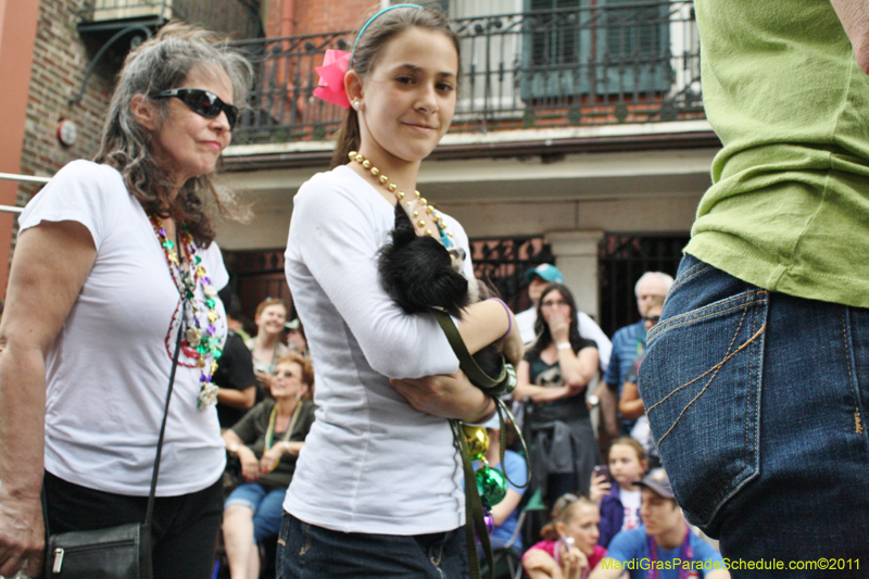 Mystic-Krewe-of-Barkus-JR-2011-0204