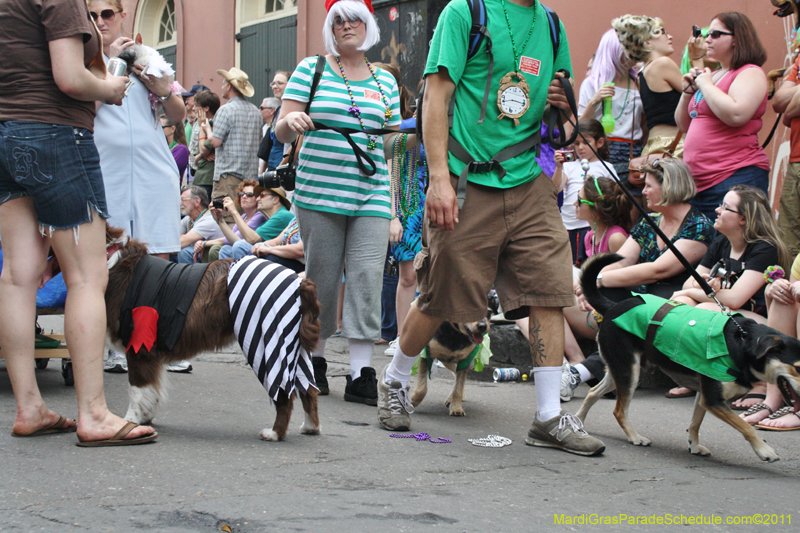 Mystic-Krewe-of-Barkus-JR-2011-0209