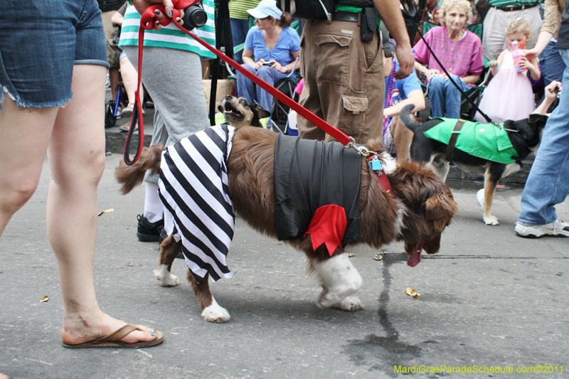 Mystic-Krewe-of-Barkus-JR-2011-0210