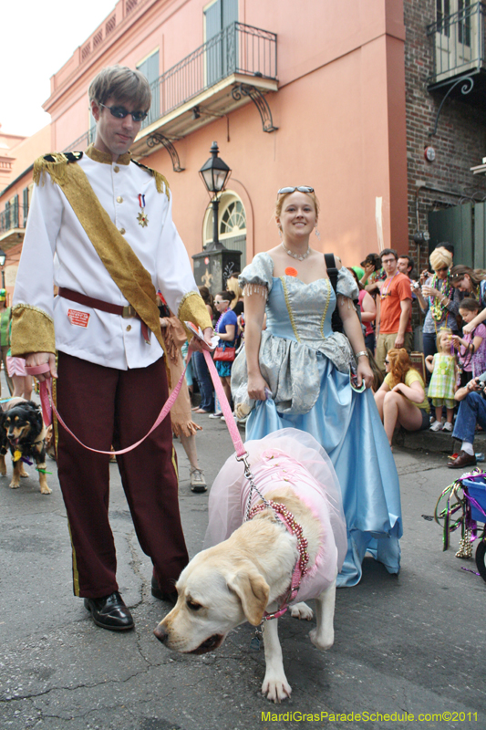 Mystic-Krewe-of-Barkus-JR-2011-0219