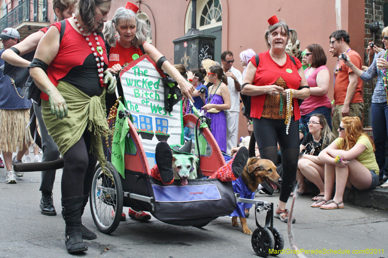 Mystic-Krewe-of-Barkus-JR-2011-0225