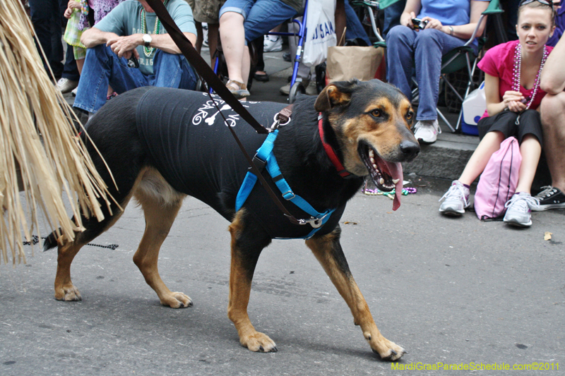 Mystic-Krewe-of-Barkus-JR-2011-0226