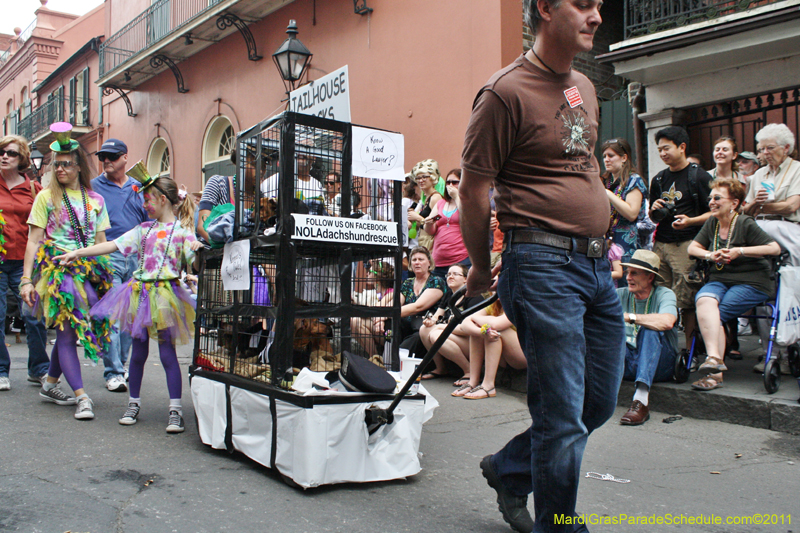 Mystic-Krewe-of-Barkus-JR-2011-0228