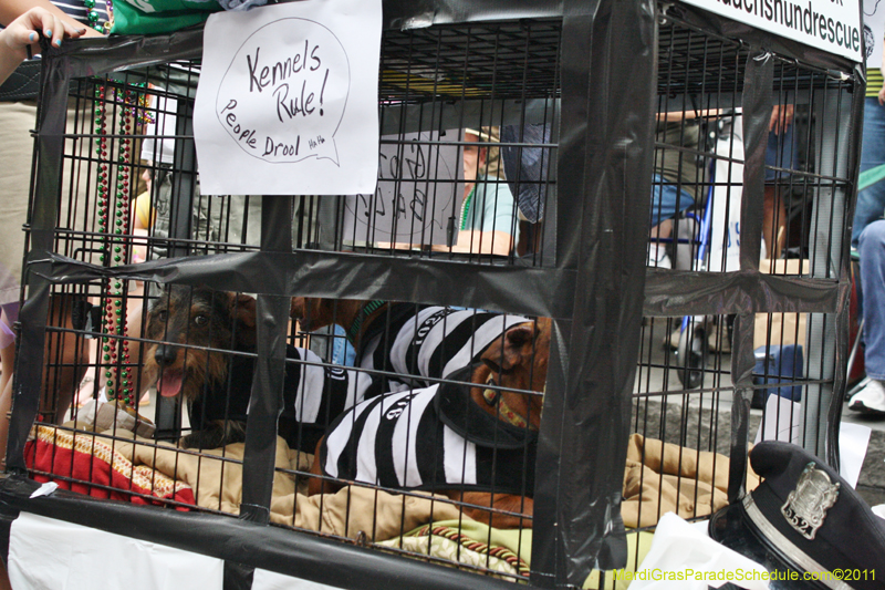 Mystic-Krewe-of-Barkus-JR-2011-0229