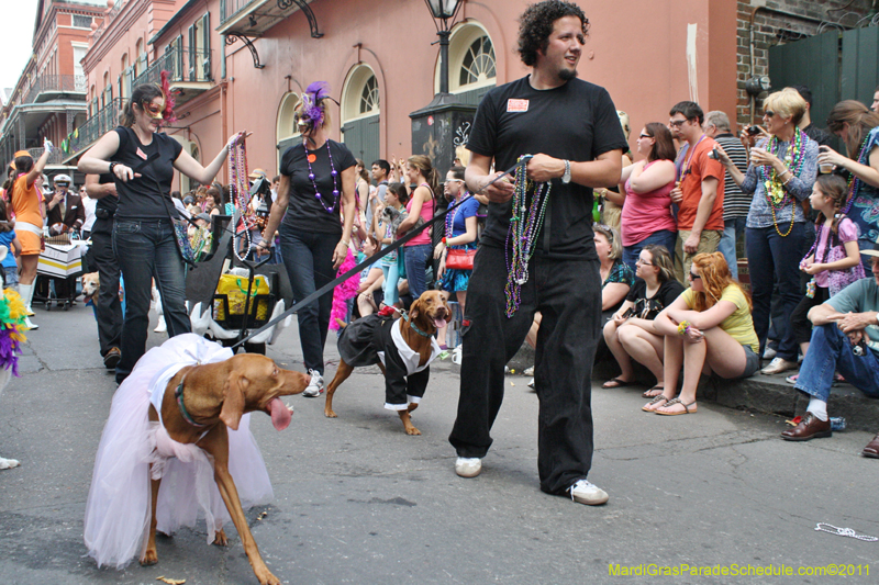 Mystic-Krewe-of-Barkus-JR-2011-0231