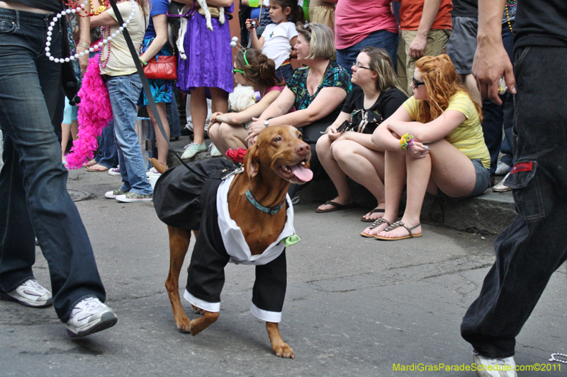 Mystic-Krewe-of-Barkus-JR-2011-0232