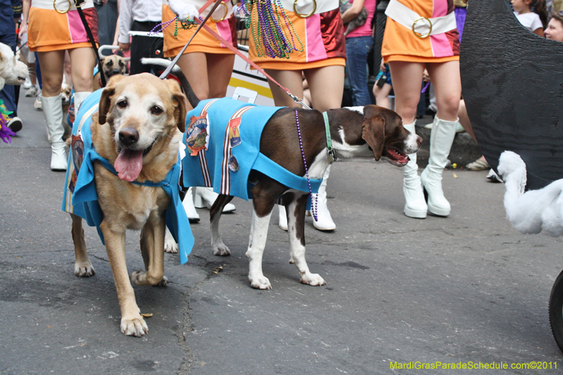 Mystic-Krewe-of-Barkus-JR-2011-0234