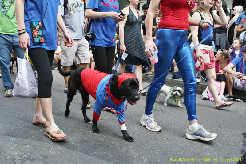 Mystic-Krewe-of-Barkus-JR-2011-0237