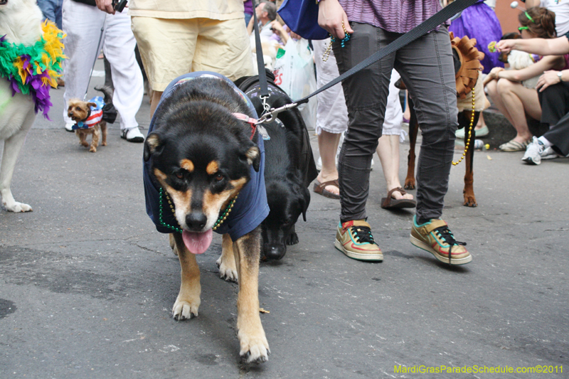 Mystic-Krewe-of-Barkus-JR-2011-0238