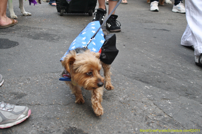 Mystic-Krewe-of-Barkus-JR-2011-0239