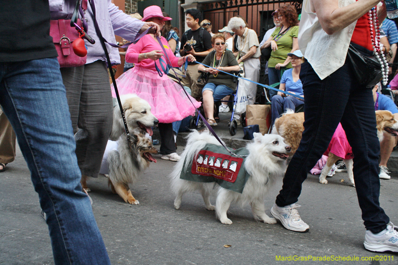 Mystic-Krewe-of-Barkus-JR-2011-0240