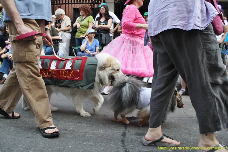 Mystic-Krewe-of-Barkus-JR-2011-0241