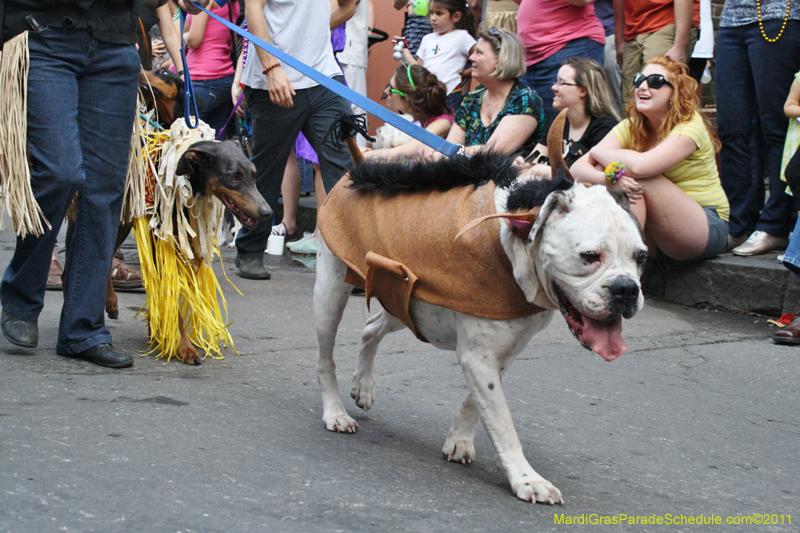 Mystic-Krewe-of-Barkus-JR-2011-0242