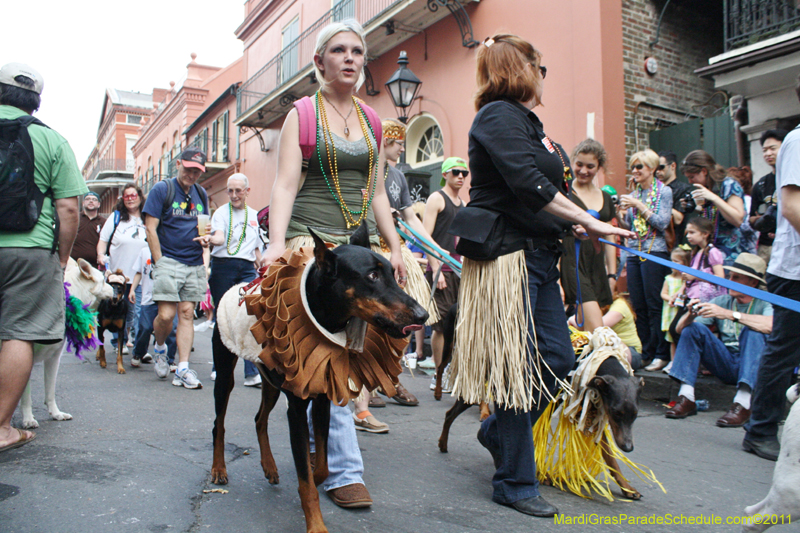 Mystic-Krewe-of-Barkus-JR-2011-0243