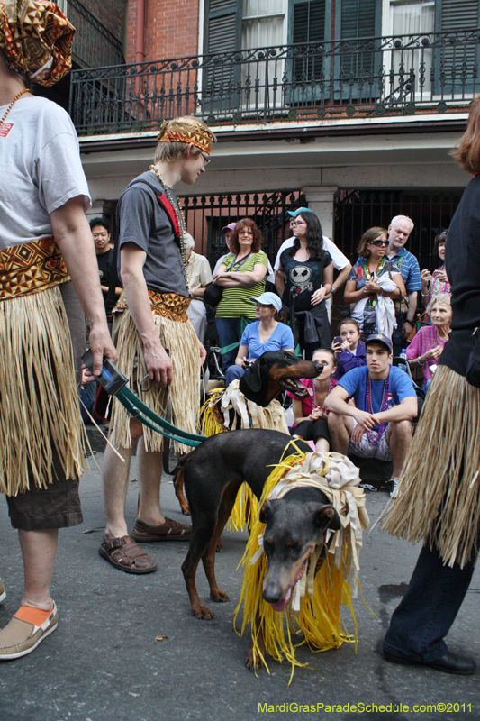 Mystic-Krewe-of-Barkus-JR-2011-0244