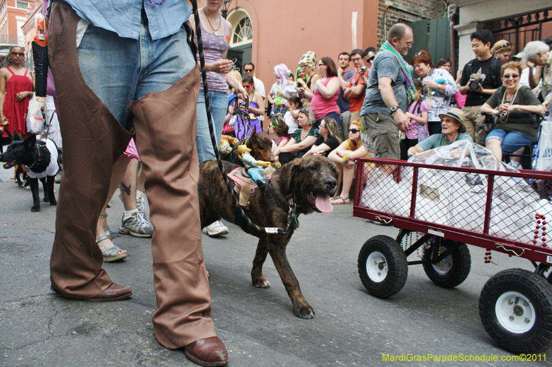 Mystic-Krewe-of-Barkus-JR-2011-0246