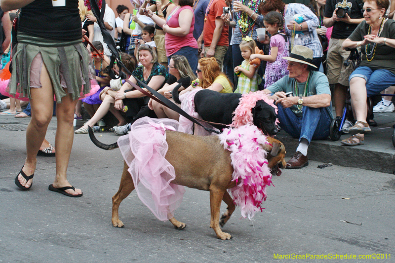 Mystic-Krewe-of-Barkus-JR-2011-0248