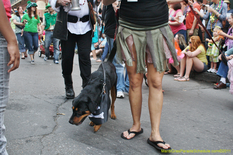 Mystic-Krewe-of-Barkus-JR-2011-0249