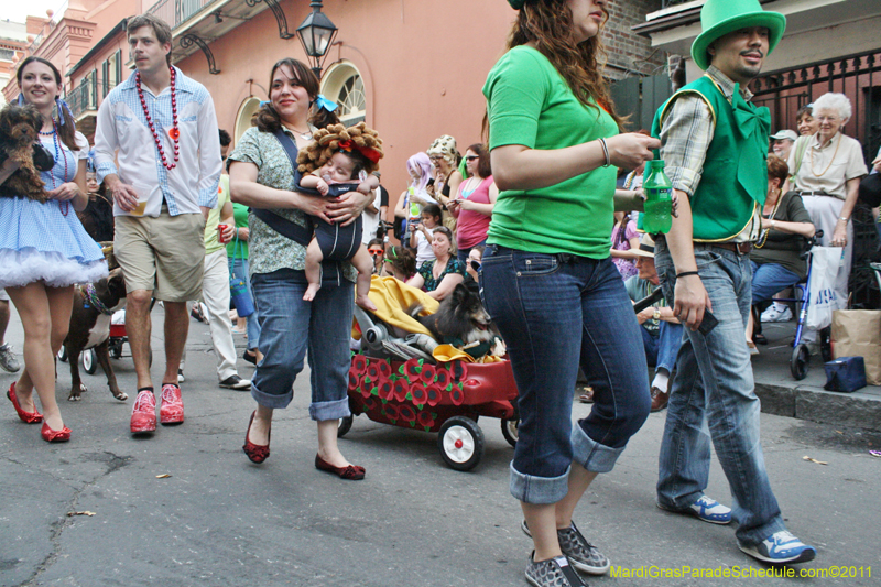 Mystic-Krewe-of-Barkus-JR-2011-0251