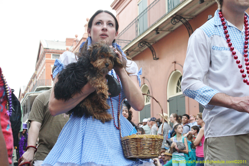 Mystic-Krewe-of-Barkus-JR-2011-0252