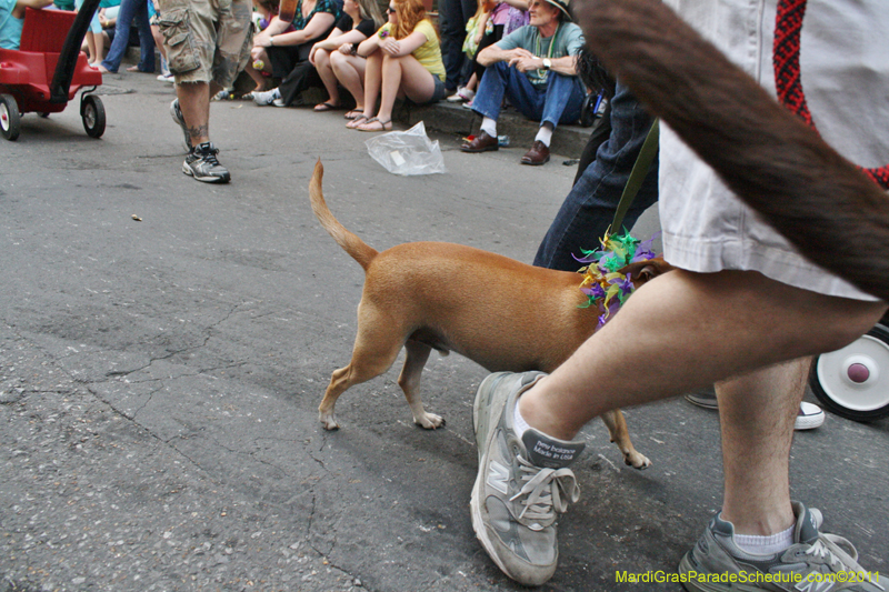 Mystic-Krewe-of-Barkus-JR-2011-0254