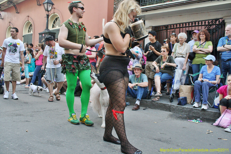 Mystic-Krewe-of-Barkus-JR-2011-0255