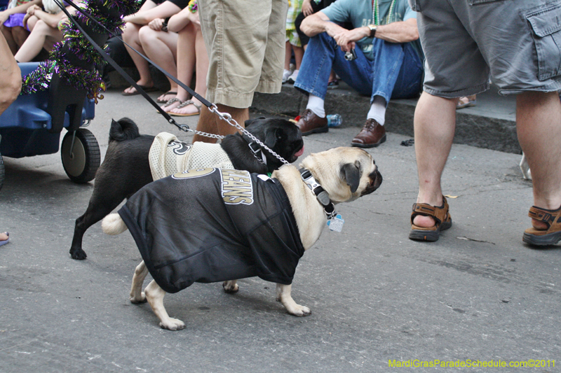 Mystic-Krewe-of-Barkus-JR-2011-0257