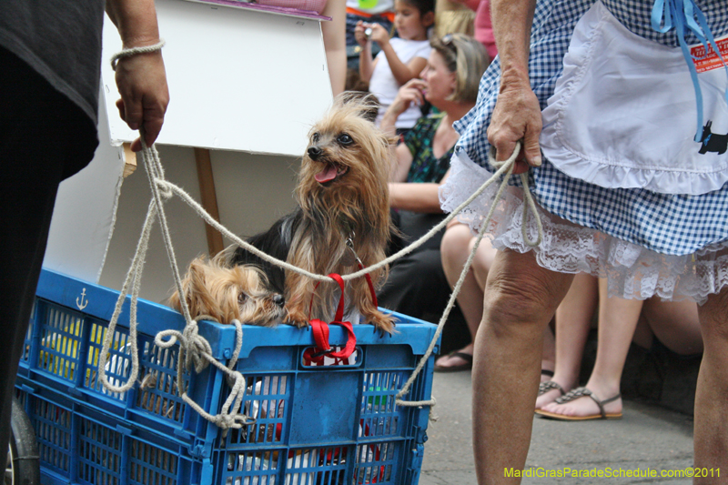 Mystic-Krewe-of-Barkus-JR-2011-0259