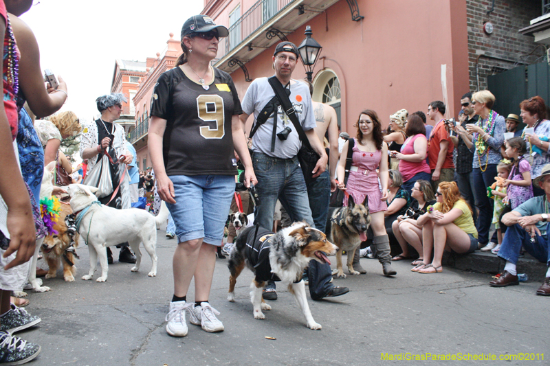 Mystic-Krewe-of-Barkus-JR-2011-0260