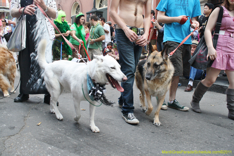 Mystic-Krewe-of-Barkus-JR-2011-0261