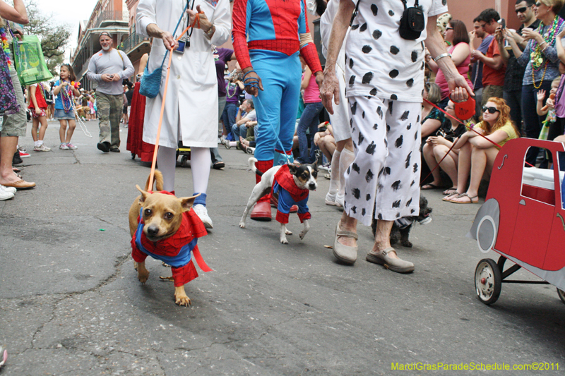 Mystic-Krewe-of-Barkus-JR-2011-0264