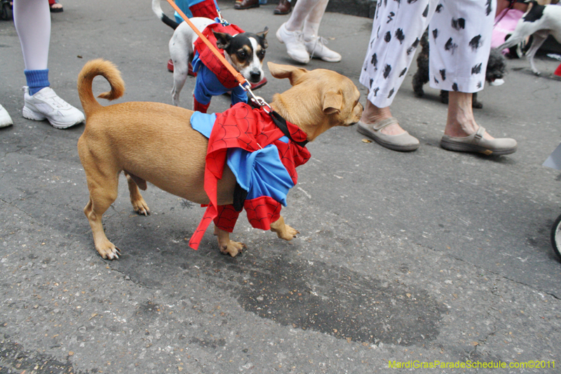 Mystic-Krewe-of-Barkus-JR-2011-0265