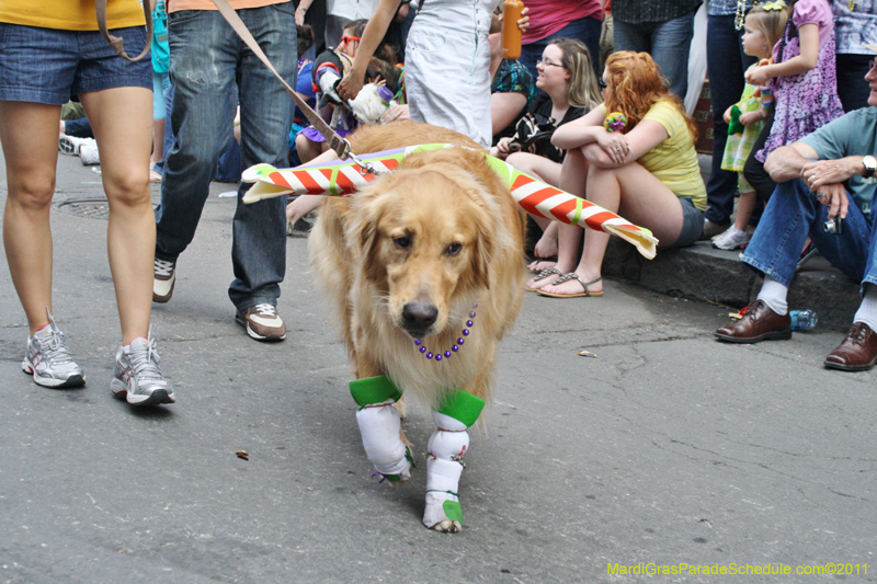 Mystic-Krewe-of-Barkus-JR-2011-0267