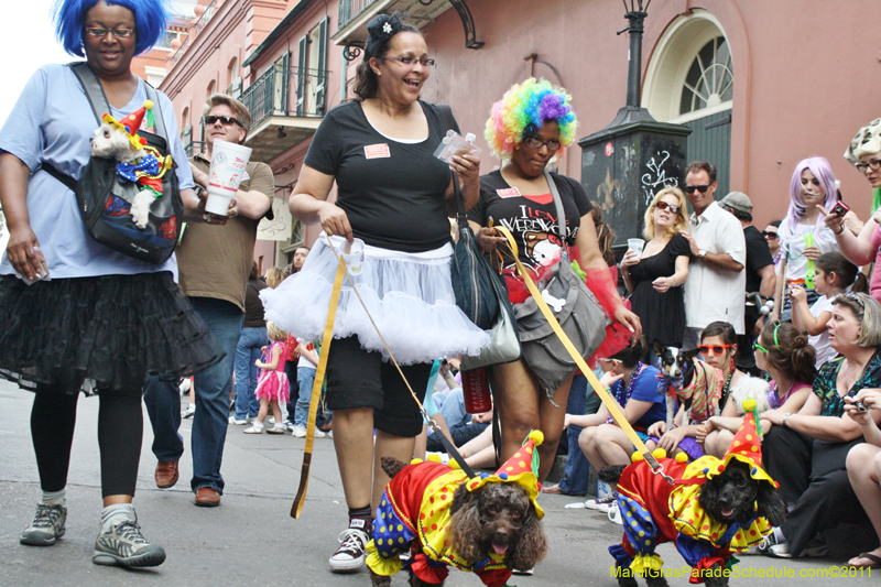 Mystic-Krewe-of-Barkus-JR-2011-0268