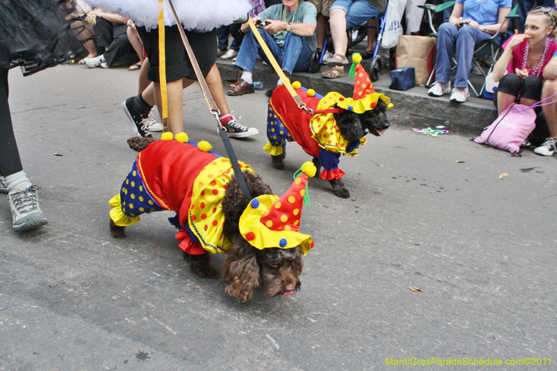 Mystic-Krewe-of-Barkus-JR-2011-0269