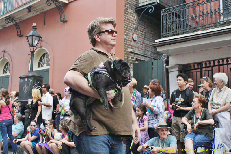 Mystic-Krewe-of-Barkus-JR-2011-0270